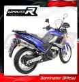ауспух заглушител DOMINATOR HP1 подходящо за мотоциклет Aprilia Pegaso 650 2001 - 2004 3