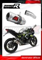 ауспух заглушител DOMINATOR GP подходящо за мотоциклет Kawasaki NINJA 125 Z125 2019 - 2023