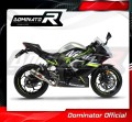 ауспух заглушител DOMINATOR GP подходящо за мотоциклет Kawasaki NINJA 125 Z125 2019 - 2023 4