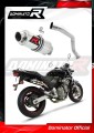ауспух заглушител DOMINATOR GP1 подходящо за мотоциклет Honda CB 600F HORNET 1998 - 2002