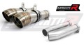 ауспух заглушител DOMINATOR GP2 подходящо за мотоциклет Aprilia RSV 1000 R 2004 - 2009