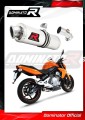 ауспух заглушител DOMINATOR овален подходящо за мотоциклет Kawasaki ER - 6 N / F 650 2006 - 2008