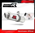 ауспух заглушител DOMINATOR овален подходящо за мотоциклет Kawasaki ER - 6 N / F 650 2009 - 2011 2