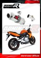 ауспух заглушител DOMINATOR GP1 подходящо за мотоциклет Kawasaki ER - 6 N / F 650 2009 - 2011
