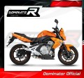 ауспух заглушител DOMINATOR GP1 подходящо за мотоциклет Kawasaki ER - 6 N / F 650 2009 - 2011 4