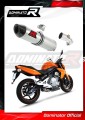 ауспух заглушител DOMINATOR HP2 подходящо за мотоциклет Kawasaki ER - 6 N / F 650 2009 - 2011