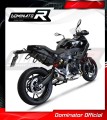 ауспух заглушител DOMINATOR GP подходящо за мотоциклет BMW F900XR 2020 - 2026 3