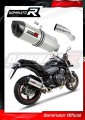 ауспух заглушител DOMINATOR HP1 подходящо за мотоциклет Honda CB 600F HORNET PC41 2007 - 2013