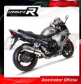 ауспух заглушител DOMINATOR овален подходящо за мотоциклет Suzuki GSX 1250 FA 2010 - 2016 3