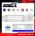 ауспух заглушител DOMINATOR хомологиран HP1 подходящо за мотоциклет Kawasaki Z1000 SX 2017 - 2020 4