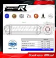 ауспух заглушител DOMINATOR HP1 подходящо за мотоциклет Ducati MONSTER 600 1993 - 2002 2