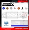 ауспух заглушител DOMINATOR GP1 подходящо за мотоциклет Honda CBF 250 2004 - 2006 2