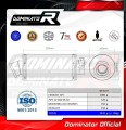 ауспух заглушител DOMINATOR GP1 подходящо за мотоциклет Suzuki SV 650 N 1999 - 2002 2