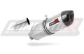 ауспух заглушител DOMINATOR HP1 подходящо за мотоциклет BMW F800ST 2006 - 2012 3