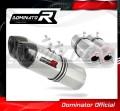 ауспух заглушител DOMINATOR HP1 подходящо за мотоциклет KTM 690 SM SUPERMOTO  2