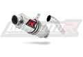 ауспух заглушител DOMINATOR GP1 подходящо за мотоциклет Yamaha TZR 50  3