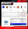 ауспух заглушител DOMINATOR MX подходящо за мотоциклет Polaris RZR 200 2022 - 2025 6