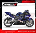 ауспух заглушител DOMINATOR GP черен подходящо за мотоциклет Honda CBR 954 2002 - 2003 6