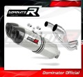 ауспух заглушител DOMINATOR HP1 подходящо за мотоциклет Aprilia Pegaso 650 Strada 2005 - 2006