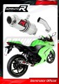 ауспух заглушител DOMINATOR GP1 подходящо за мотоциклет Kawasaki ZX250R 2008 - 2012