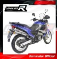 ауспух заглушител DOMINATOR овален подходящо за мотоциклет Aprilia Pegaso 650 2001 - 2004 3